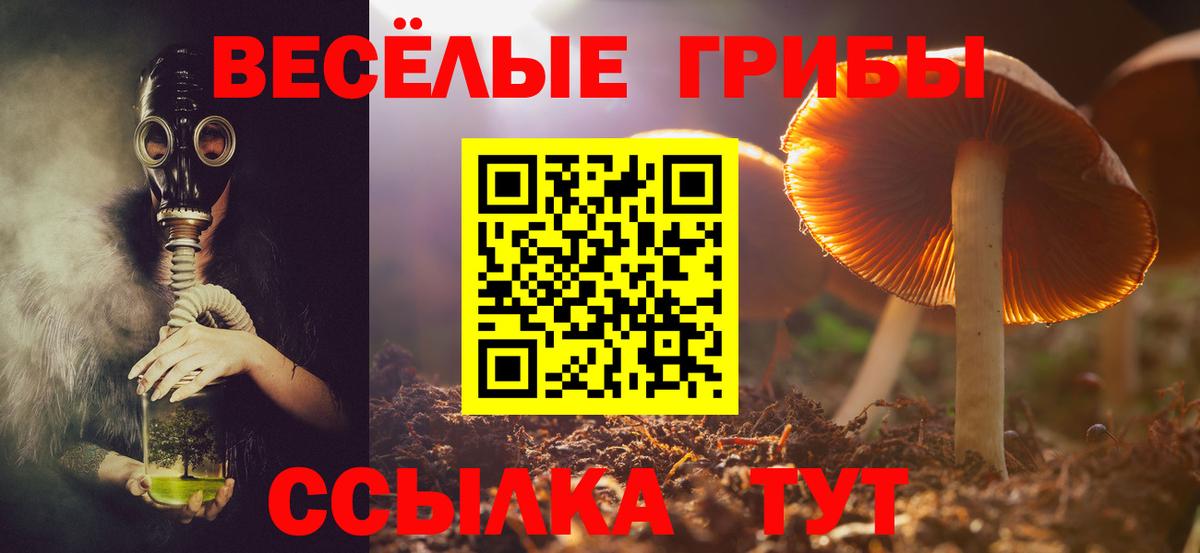 Псилоцибиновые грибы прущие грибы  Вход с VPN  Лосино-Петровский 